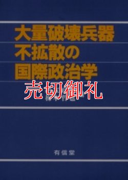 画像1: 大量破壊兵器不拡散の国際政治学