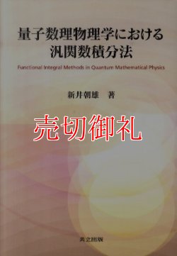 画像1: 量子数理物理学における汎関数積分法