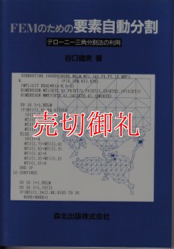 画像1: ＦＥＭのための要素自動分割　デローニー三角分割法の利用