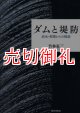 ダムと堤防　治水・現場からの検証