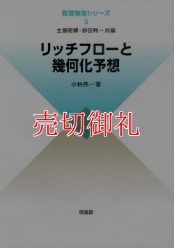 画像1: リッチフローと幾何化予想　数理物理シリーズ　５