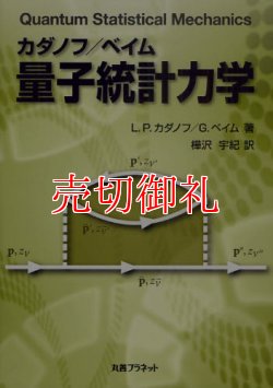 画像1: カダノフ／ベイム量子統計力学