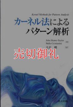 画像1: カーネル法によるパターン解析