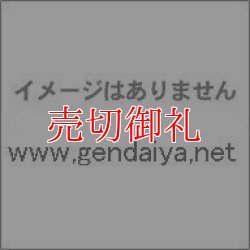 画像1: 唯識説を中心とした初期華厳教学の研究―智儼・義湘から法蔵へ