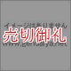 唯識説を中心とした初期華厳教学の研究―智儼・義湘から法蔵へ