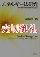 エネルギー法研究　政府規制の法と政策を中心として