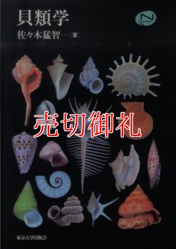 画像1: 貝類学　Ｎａｔｕｒａｌ　Ｈｉｓｔｏｒｙ