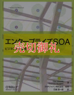 画像1: エンタープライズＳＯＡ　ビジネス革新実現に向けたＩＴデザイン　ＴＨＥＯＲＹ／ＩＮ／ＰＲＡＣＴＩＣＥ