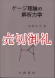 ゲージ理論の解析力学