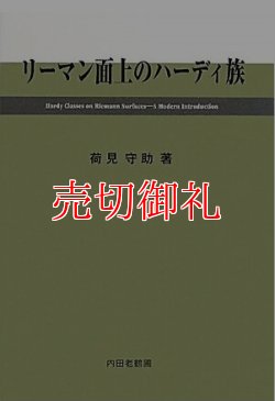 画像1: リーマン面上のハーディ族