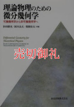 画像1: 理論物理のための微分幾何学　可換幾何学から非可換幾何学へ