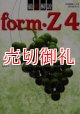 徹底解説ｆｏｒｍ・Ｚ４　ＣＡＤ徹底解説シリーズ　１９