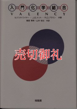 画像1: 入門化学結合