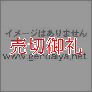 画像: 数学教育史 　一つの文化形態に関する歴史的研究