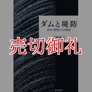 画像: ダムと堤防　治水・現場からの検証