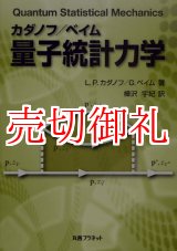 画像: カダノフ／ベイム量子統計力学