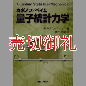 画像: カダノフ／ベイム量子統計力学