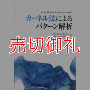 画像: カーネル法によるパターン解析