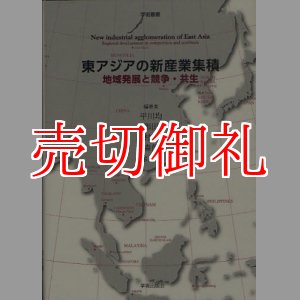 画像: 東アジアの新産業集積　地域発展と競争・共生　学術叢書