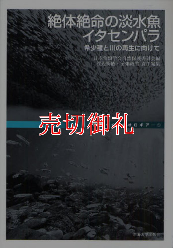 画像1: 絶体絶命の淡水魚イタセンパラ　希少種と川の再生に向けて　叢書・イクチオロギア　１