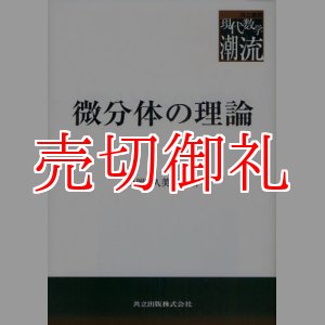 画像: 微分体の理論　共立叢書現代数学の潮流