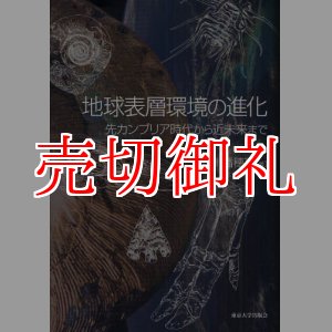 画像: 地球表層環境の進化　先カンブリア時代から近未来まで