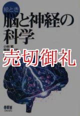 画像: 絵とき脳と神経の科学