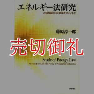 画像: エネルギー法研究　政府規制の法と政策を中心として