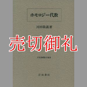 画像: ホモロジー代数　岩波基礎数学選書