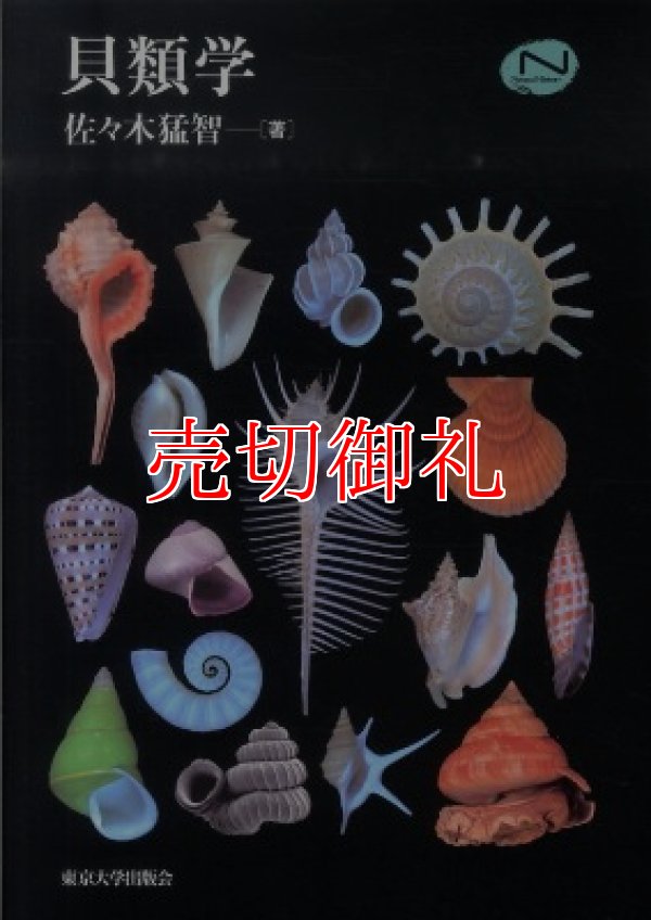 画像1: 貝類学　Ｎａｔｕｒａｌ　Ｈｉｓｔｏｒｙ