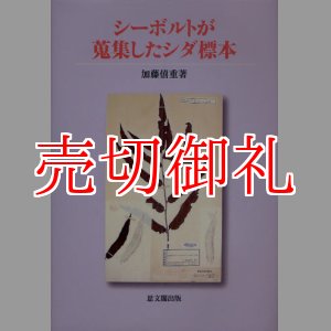 画像: シーボルトが蒐集したシダ標本