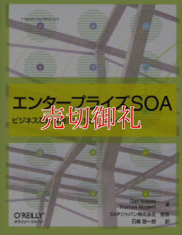 画像1: エンタープライズＳＯＡ　ビジネス革新実現に向けたＩＴデザイン　ＴＨＥＯＲＹ／ＩＮ／ＰＲＡＣＴＩＣＥ