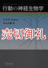 画像: 行動の神経生物学