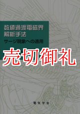 画像: 数値過渡電磁界解析手法　サージ現象への適用