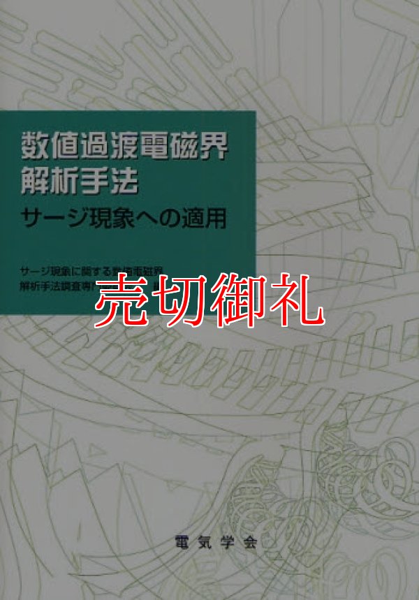 画像1: 数値過渡電磁界解析手法　サージ現象への適用