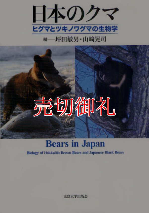 画像1: 日本のクマ　ヒグマとツキノワグマの生物学