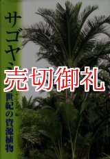 画像: サゴヤシ　２１世紀の資源植物