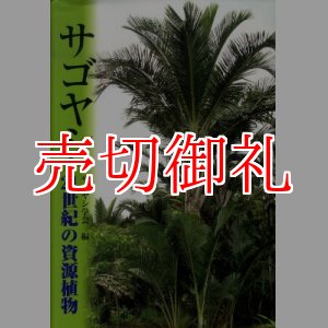 画像: サゴヤシ　２１世紀の資源植物