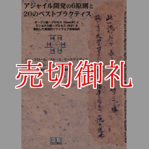 画像: アジャイル開発の６原則と２０のベストプラクティス　オープン統一プロセス〈ＯｐｅｎＵＰ〉とラショナル統一プロセス〈ＲＵＰ〉を集約した実践的ソフトウェア開発指針