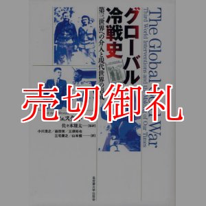 画像: グローバル冷戦史　第三世界への介入と現代世界の形成