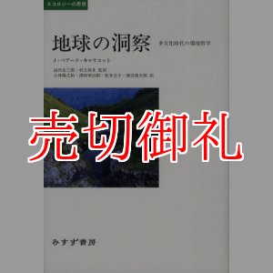 画像: 地球の洞察　多文化時代の環境哲学　エコロジーの思想