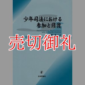 画像: 少年司法における参加と修復