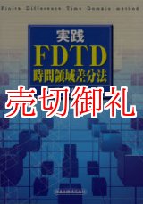 画像: 実践ＦＤＴＤ時間領域差分法