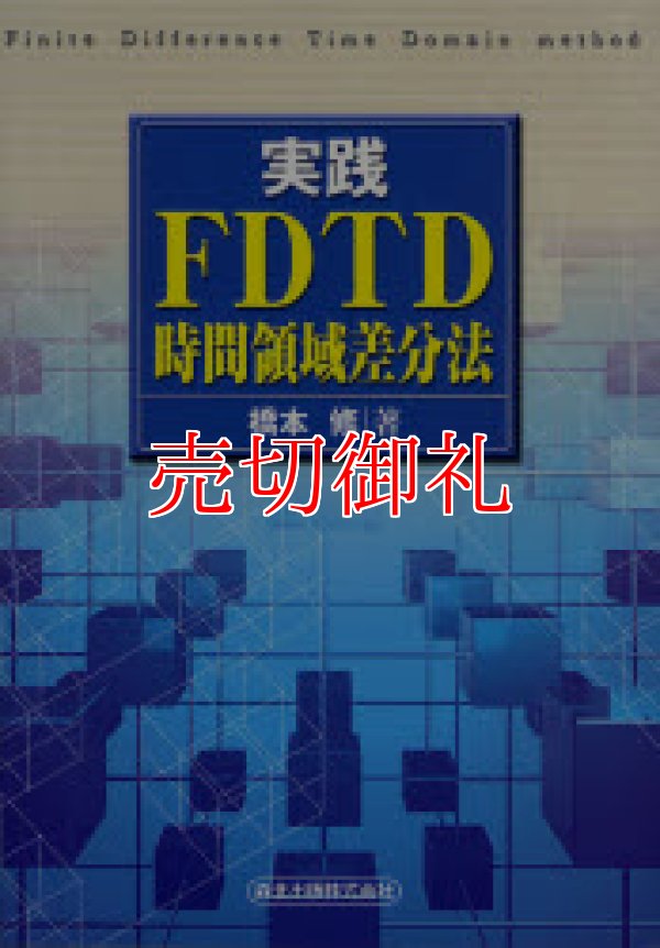 画像1: 実践ＦＤＴＤ時間領域差分法