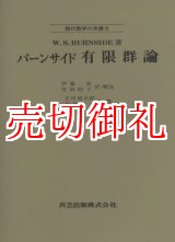 画像: バーンサイド有限群論　現代数学の系譜　９