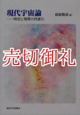 画像: 現代宇宙論　時空と物質の共進化