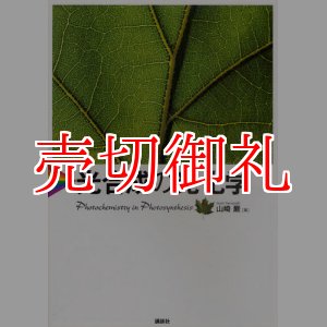 画像: 光合成の光化学